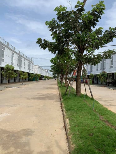 កួរស្រូវ 3