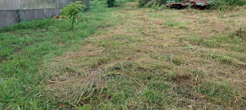 ដីលក់បន្ទាន់