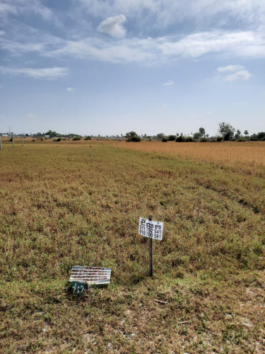 ដីលក់
