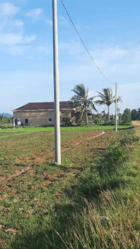 ដីលក់60x31 ចុះតំលៃ35%