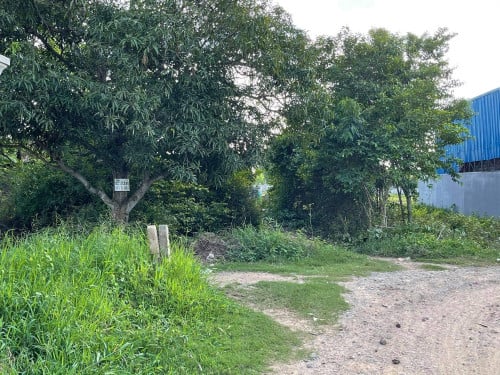 ដីលក់បន្ទាន់