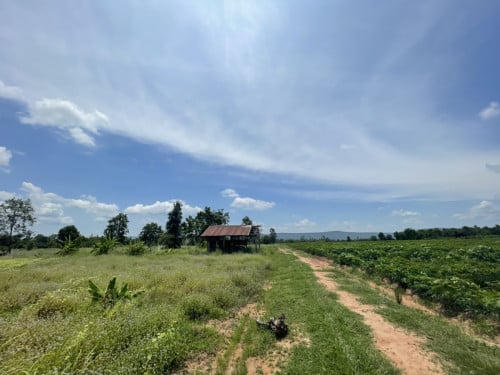 ដីសំរាប់ធ្វើចំការលក់ (ម្ចាស់)