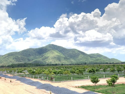 ខ្ញុំមានដីចំការលំហែប្លង់កែងមួយ អាចបង់រំលស់បន្តជាមួយក្រុមហ៊ុនបាន