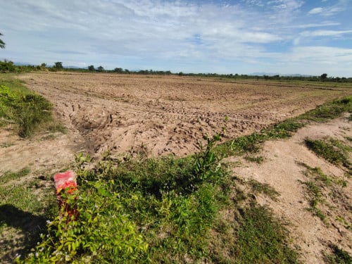 ដីលក់កំពង់ស្ពឺ3ហិកតា 16គីឡូពីផ្លូវជាតិលេខ៤,(ផ្សារត្រពាំងក្រឡឹង)