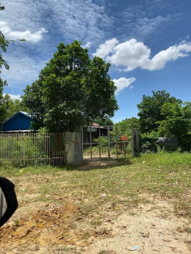 ដីលក់ មានផ្ទះស្រាប់ និង ដំណាំផ្លែស្រាប់