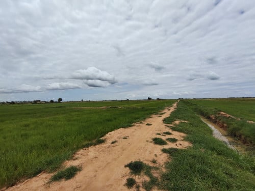 ដីក្នុងក្រុងសៀមរាបទំហំ 26,5មx46ម លក់បន្ទាន់ តំលៃក្រោមទីផ្សារ