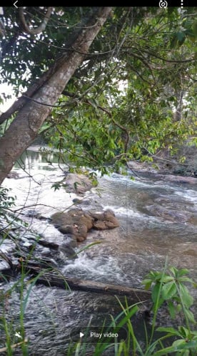 ដីល្អទេសភាពស្អាត ជាប្រភេទដីរីសតនិងដាំដំណាំបានគ្រប់ប្រភេទ