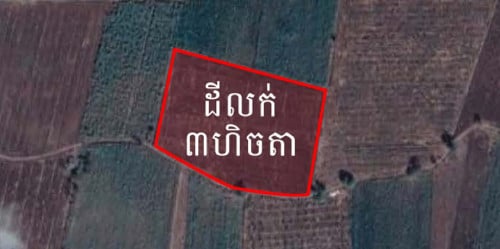 ដីចំការលក់នៅផ្សារត្រែង ស្រុករតនមណ្ឌល ខេត្តបាត់ដំបង ជិតគម្រោងផ្លូវជាតិលេខ 10 ថ្មី