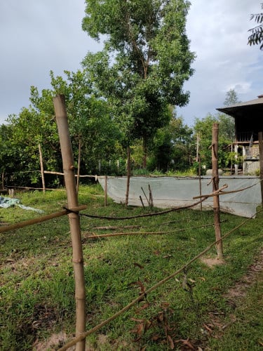 ដីលក់បន្ទាន់ បញ្ចុះតម្លៃពិសេស