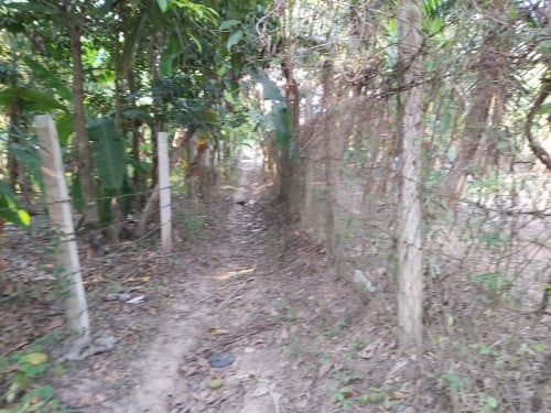 ដីសម្រាប់លក់ នៅកៀនស្វាយ