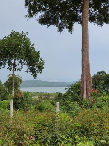 ដីលក់ នៅរាម ជើងភ្នំ