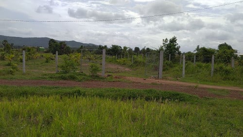 ដីលក់មានទីតាំងខេត្តកំពតទំហំ 35m x 97m