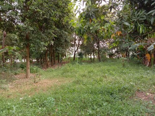 ដីជាប់មាត់ទន្លេ ភូមិថ្មគរ