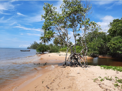 ដីលក់ 20ម × 62ម នៅក្បែរ Resort Nataya តំបន់ក្នុងក្រុងបូកគោ
