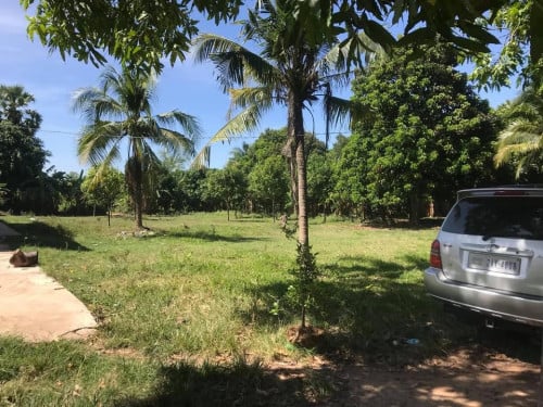 ដីលក់នៅជ្រោយដង