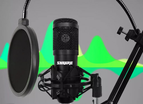 USB Condenser (Microphone + Stand) Professional Shure BM800Plus High Sound Quality គុណភាពកប់