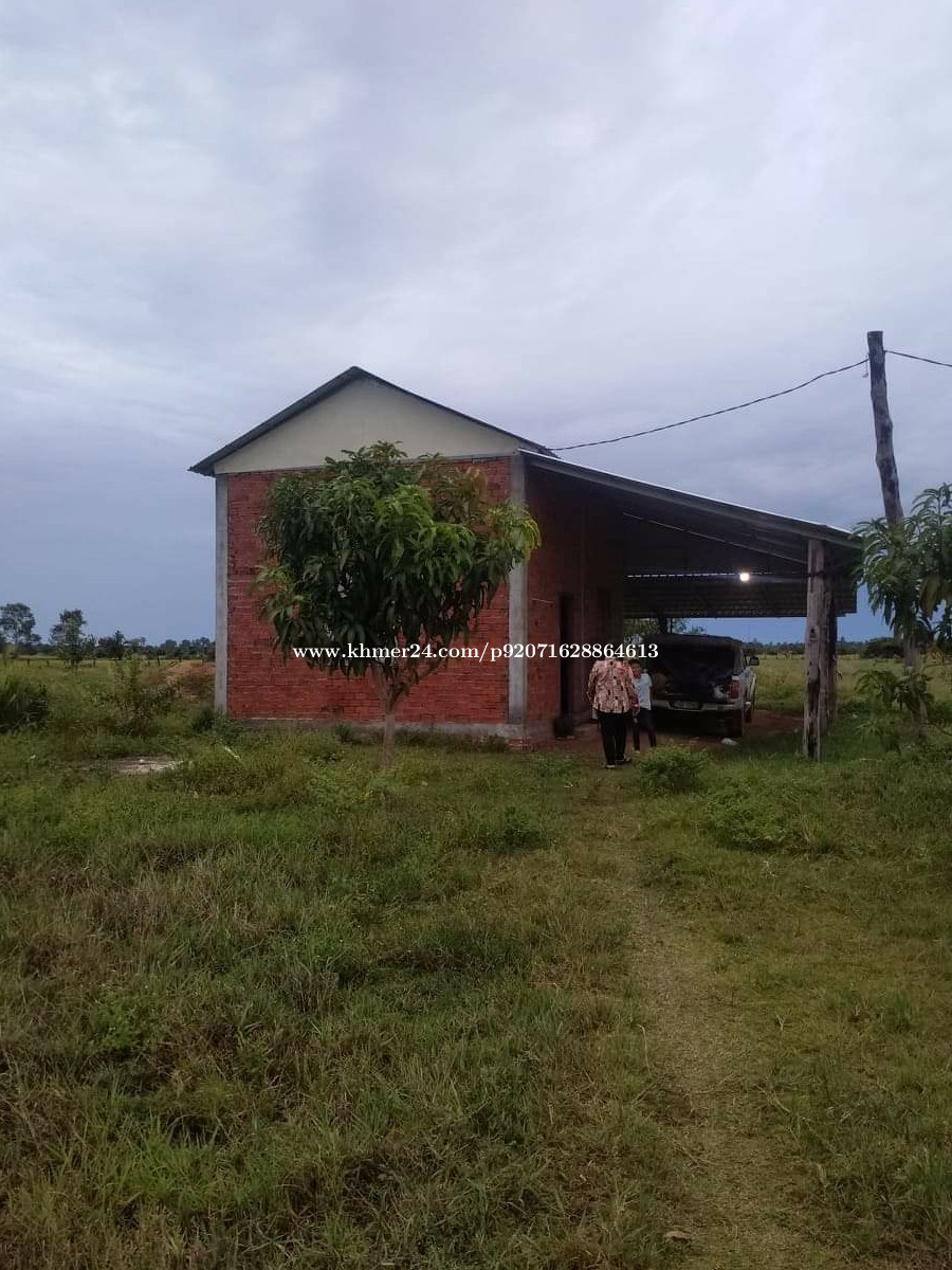 ដីលក់សៀមរាប Land for sales in Siem Reap in Sangvaeuy, Chi Kraeng, Siem