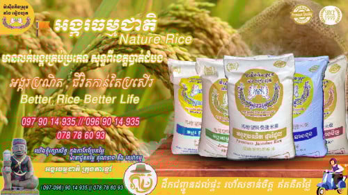 លក់អង្ករគ្រប់ប្រភេទ