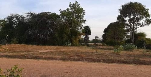 ដីលក់បន្ទាន់