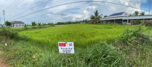 ដីលក់ខេត្តកំពត