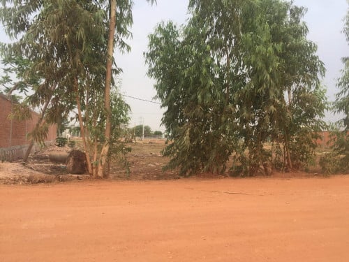 ដីសំរាប់លក់នៅសៀបរាប