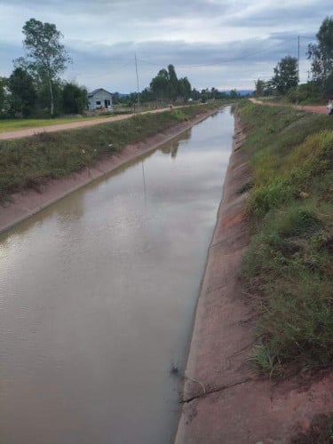 ដីលក់បន្ទាន់ Land for Sale