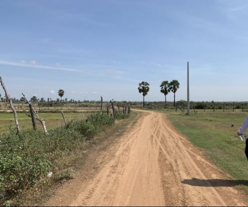 ដីលក់បន្ទាន់​ ស្ថិតក្នុងតំបន់អភិវឌ្ឍន៍ខ្លាំង​ ទំនប់កប់ស្រូវ