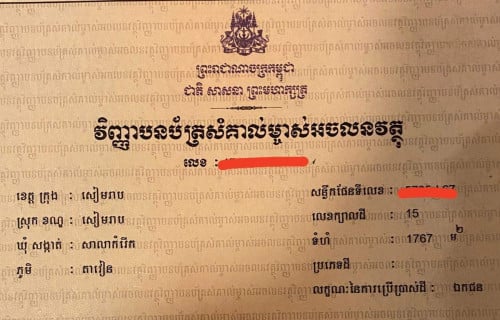 ដីកែងលក់នៅក្រុងសៀមរាបទំហំដី 30*60 ( ប្លងរឹង)