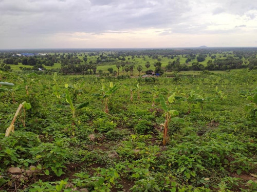 ដីជើង ភ្នំ លក់បន្ទាន់