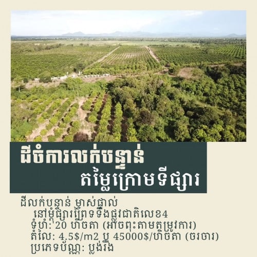 ដីលក់បន្ទាន់​ ម្ចាស់ផ្ទាល់ 📍 នៅម្ដុំតេជោអភិវឌ្ឃន៌ អាចចូលតាមផ្លូវជាតិលេខ៣ ឬលេខ៤ក៏បាន