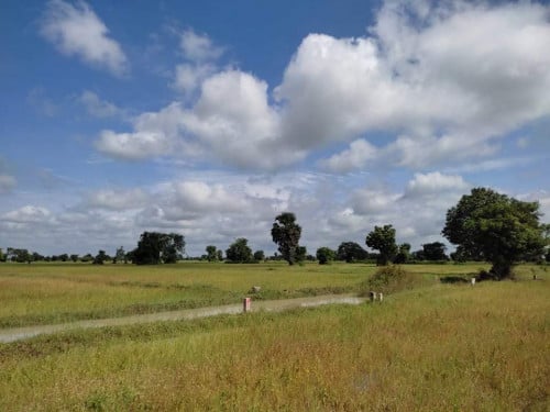 ដីលក់​ នៅក្នុងគម្រោងទីក្រុងទំនេីបថ្មី​ សៀមរាប