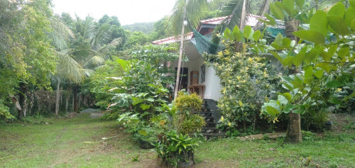 Home for rent Kep