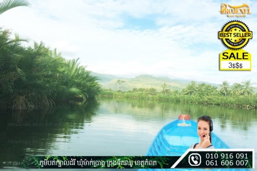 ដីជួលជាប់ទឹកព្រែក 239 ម