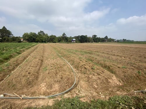 ដីលក់ ម្ចាស់ប្រញ៉ាប់លុយបន្ទាន់