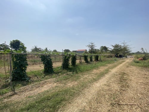 ដីលក់ ក្រុងតាខ្មៅ