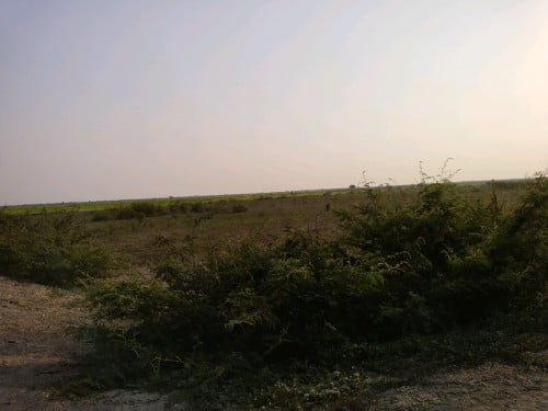 ដីលក់ក្នុងក្រុងព្រះវិហារ ក្រោយផ្សារកំពង់ប្រណាក