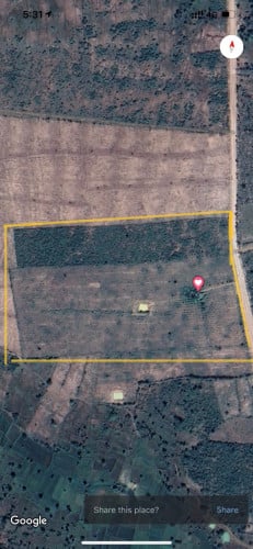 ដីលក់ 15ហិចតា ស្រុកសាមគ្កីមានជ័យ កំពង់ឆ្នំាង