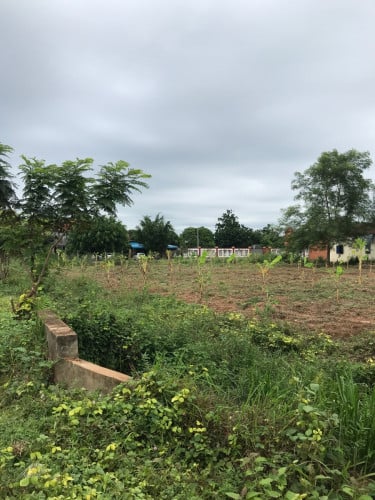 ដីលក់ស្រុកស្នួល ខេត្តក្រចេះ