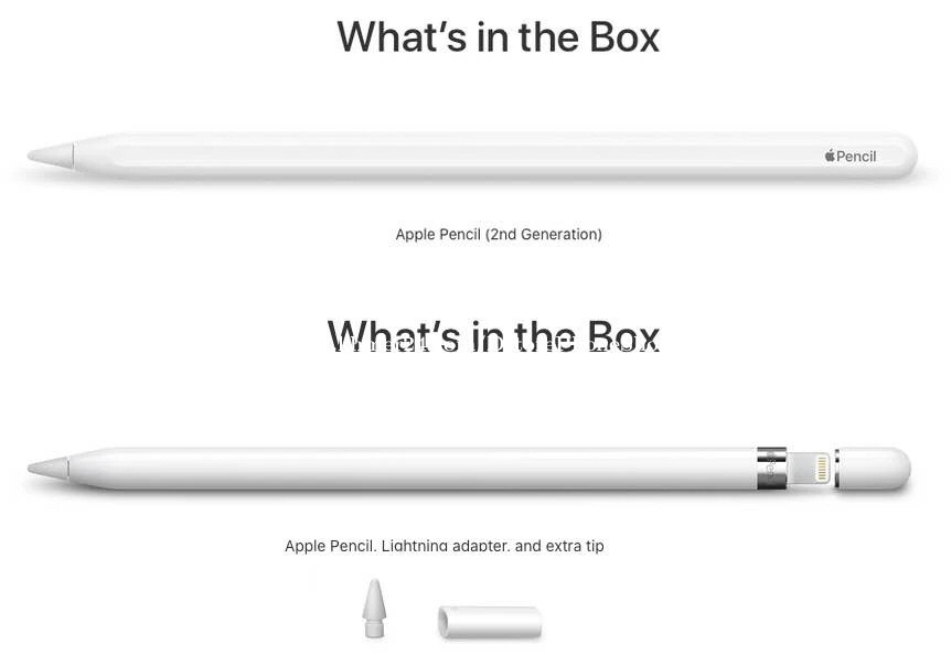Apple Pencil (2ème génération)