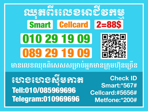 2lines-special-numbers-for-the-business-in-phnom-penh-cambodia-on