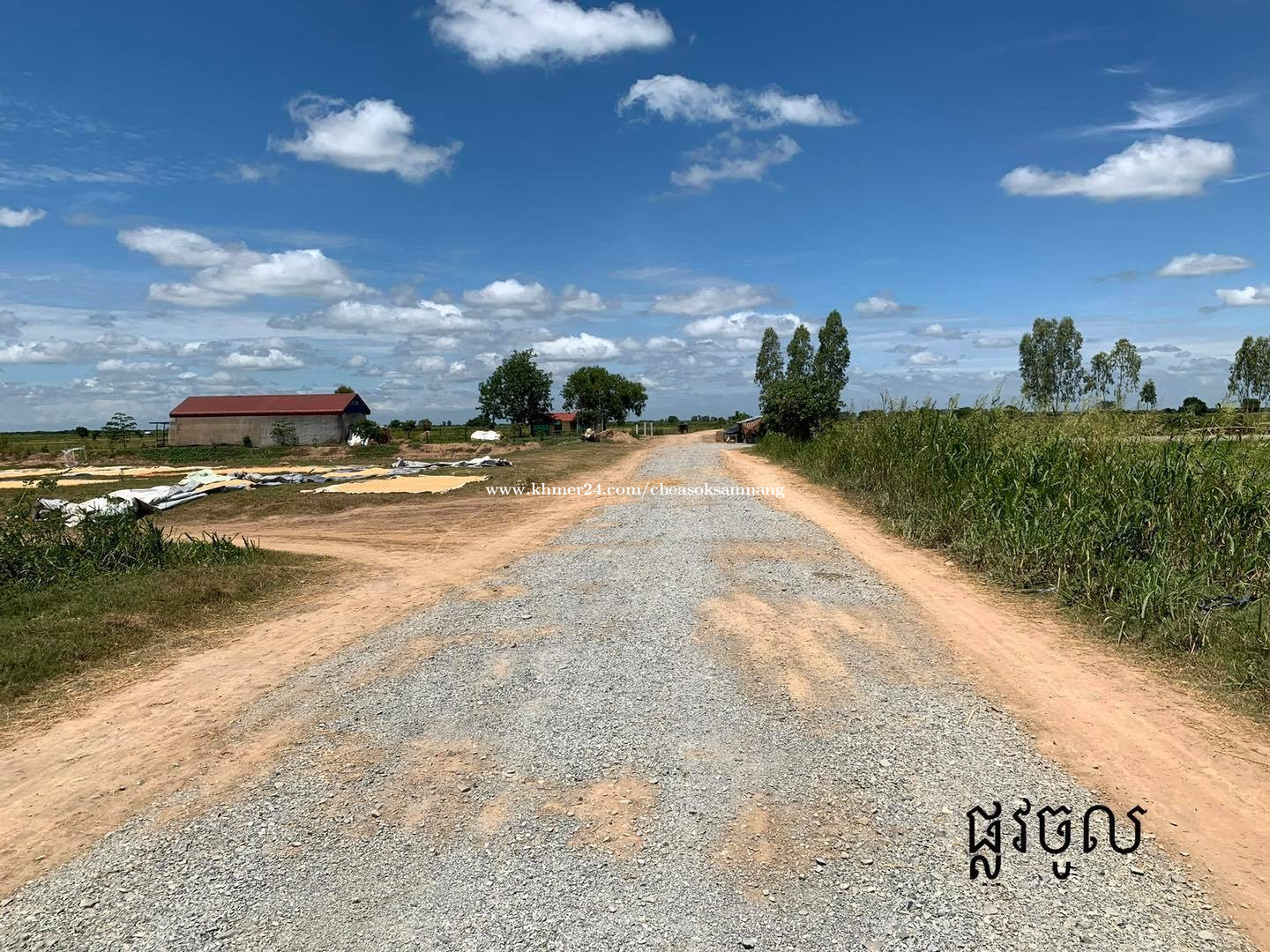 ដីលក់បន្ទាន់ Land for Sale Under Market Price in Banteay Daek, Kien