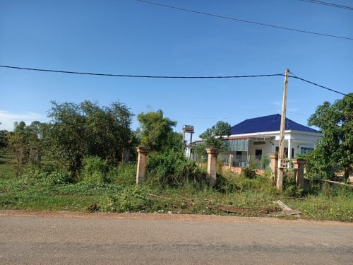 លក់បន្ទាន់ Land for sale!