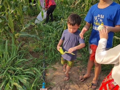 ដី 8.5ហិតាលក់ ទីតាំងគីរីរម្យ