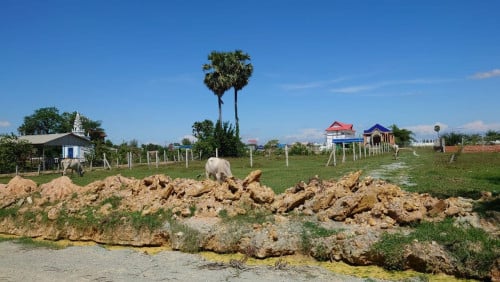 ដីសម្រាប់លក់