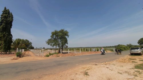 Land for sale ដីលក់បន្ទាន់ប្រញាប់លុយ(ប្លង់រឹង)