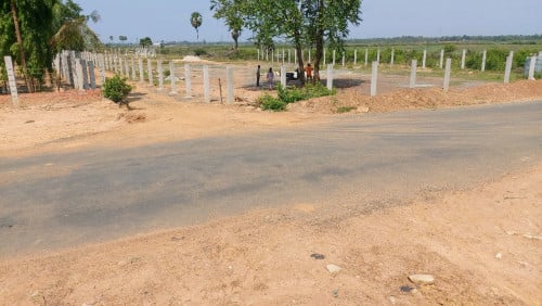 Land for sale ដីលក់បន្ទាន់ប្រញាប់លុយ(ប្លង់រឹង)