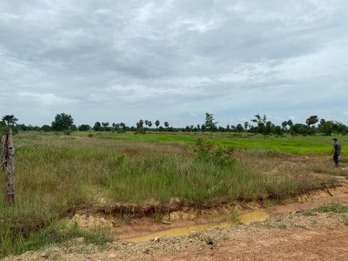 ដីនៅតំបន់សក្តានុពល