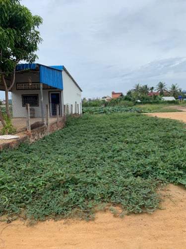 ដីលក់បន្ទាន់