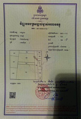 ដីលក់ នៅជិតព្រលានយន្តហោះថ្មីក្រុងតាខ្មៅ