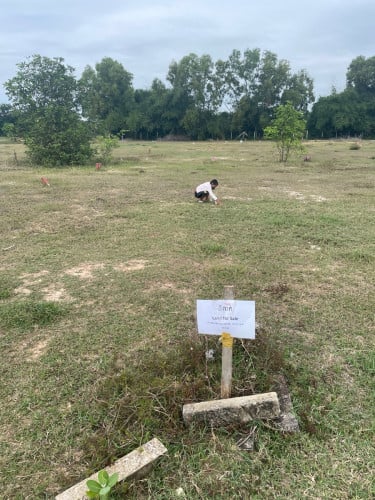 ដី សំរាប់លក់ 10*24 ទីតាំងអង្គស្នួល  លក់ប្រ